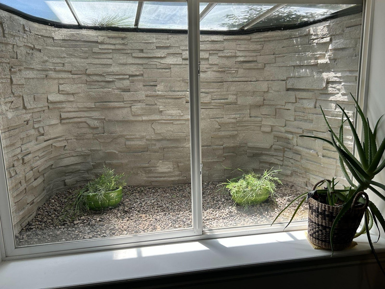 A window set in a stone wall adorned with various green plants growing around it