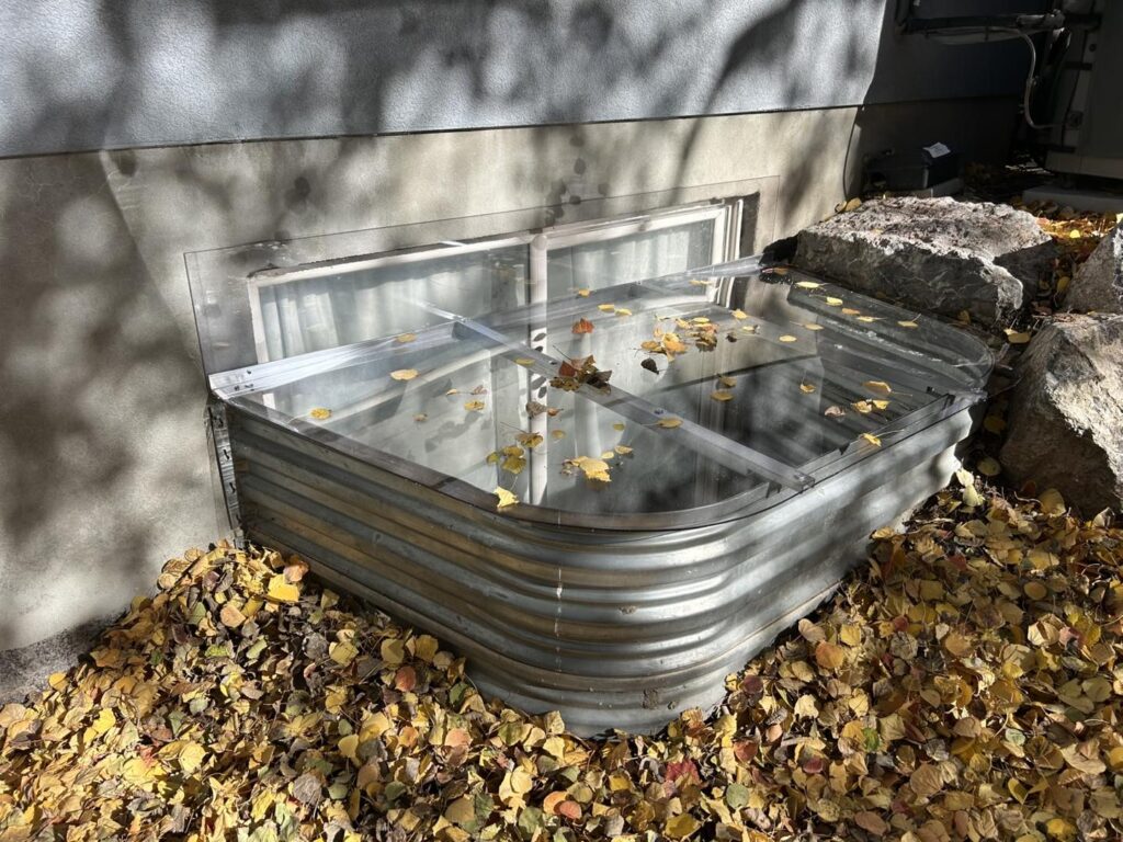 A clear plastic cover on a corrugated metal window well surrounded by fallen autumn leaves.